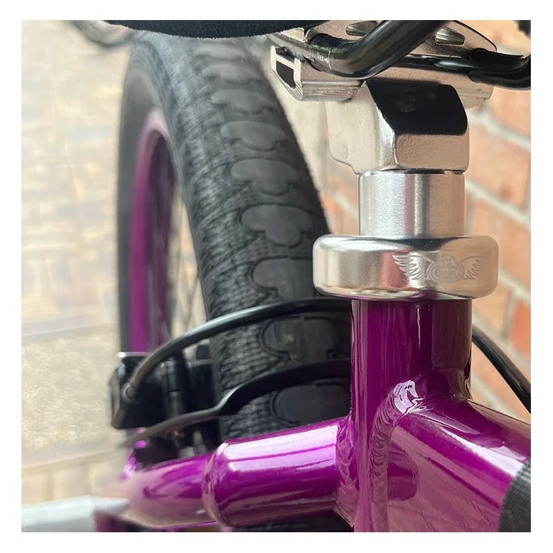 Custom Se BIG Ripper x Bikelife 29' Violet-Chromé