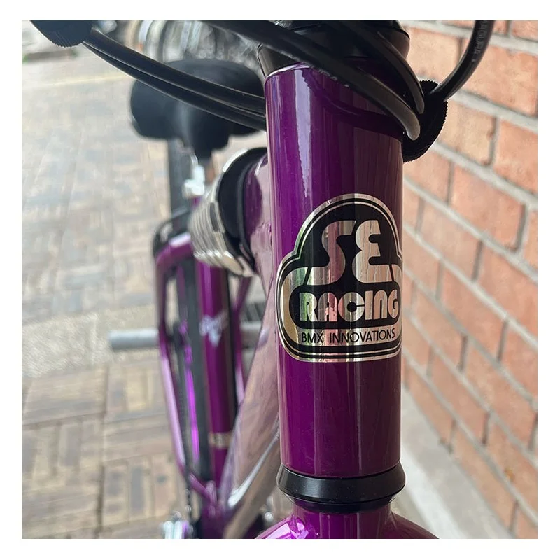 Custom Se BIG Ripper x Bikelife 29' Violet-Chromé