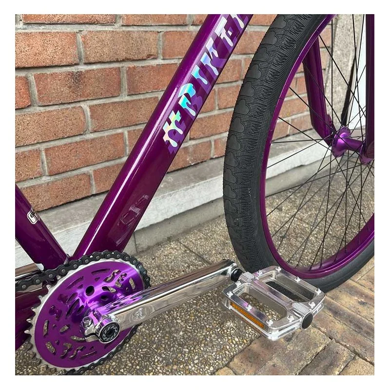 Custom Se BIG Ripper x Bikelife 29' Violet-Chromé