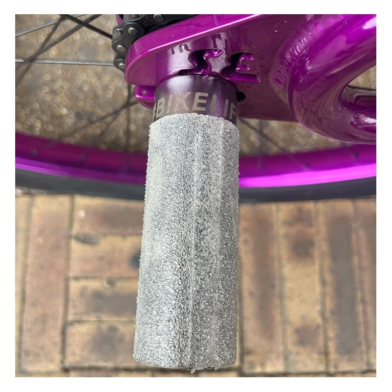 Custom Se BIG Ripper x Bikelife 29' Violet-Chromé