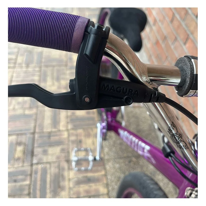 Custom Se BIG Ripper x Bikelife 29' Violet-Chromé