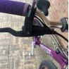 Custom Se BIG Ripper x Bikelife 29' Violet-Chromé