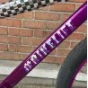 Custom Se BIG Ripper x Bikelife 29' Violet-Chromé