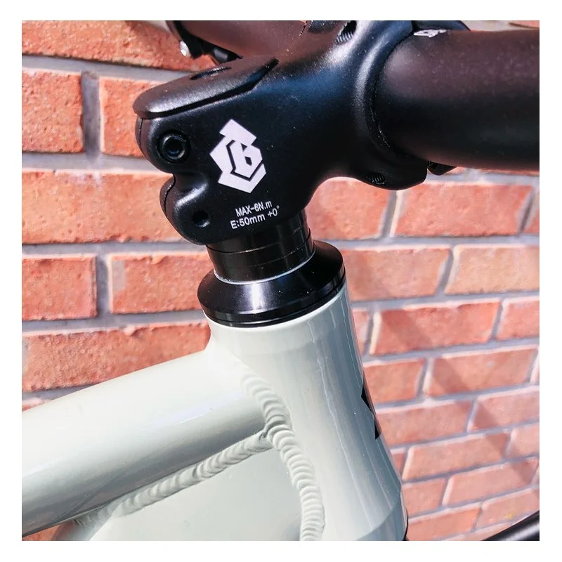 Custom Collective x Bikelife C100 platinium V3