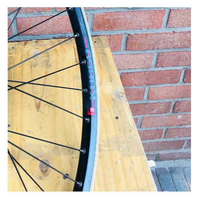 Roue Arrière Bikelife 29 pouces Noire - wheeling bike