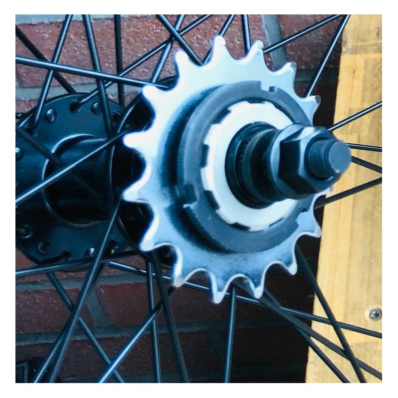 Roue Arrière Bikelife 29 pouces Noire - wheeling bike