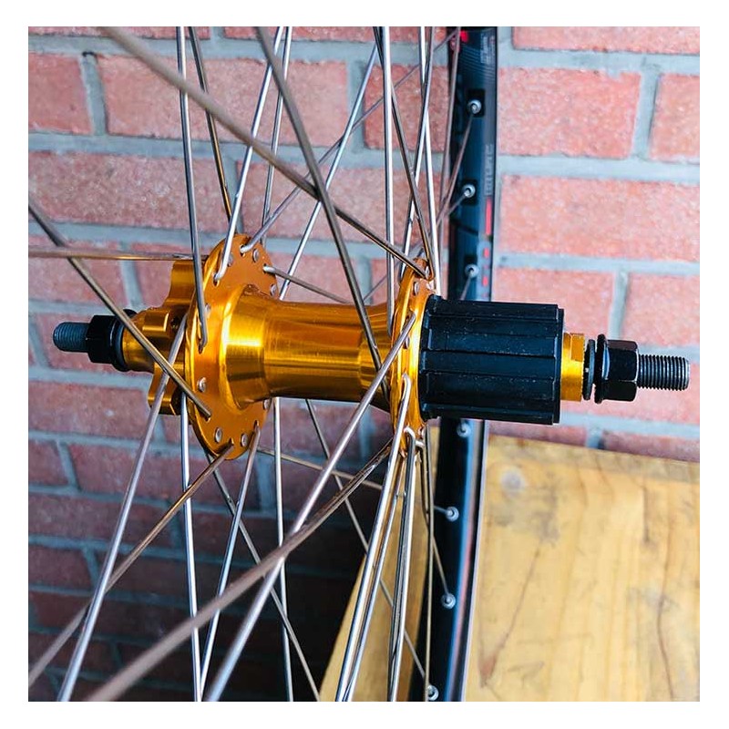 Roue Arrière Custom SeBike 29 pouces 10v - Wheeling Bike