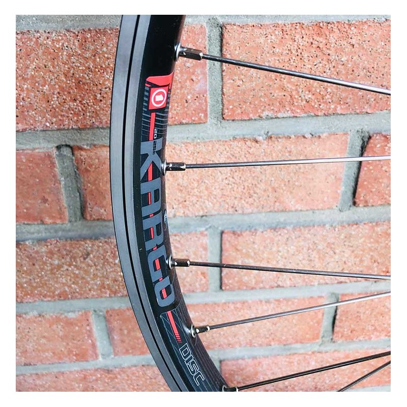 Roue Arrière Custom SeBike 29 pouces 10v - Wheeling Bike
