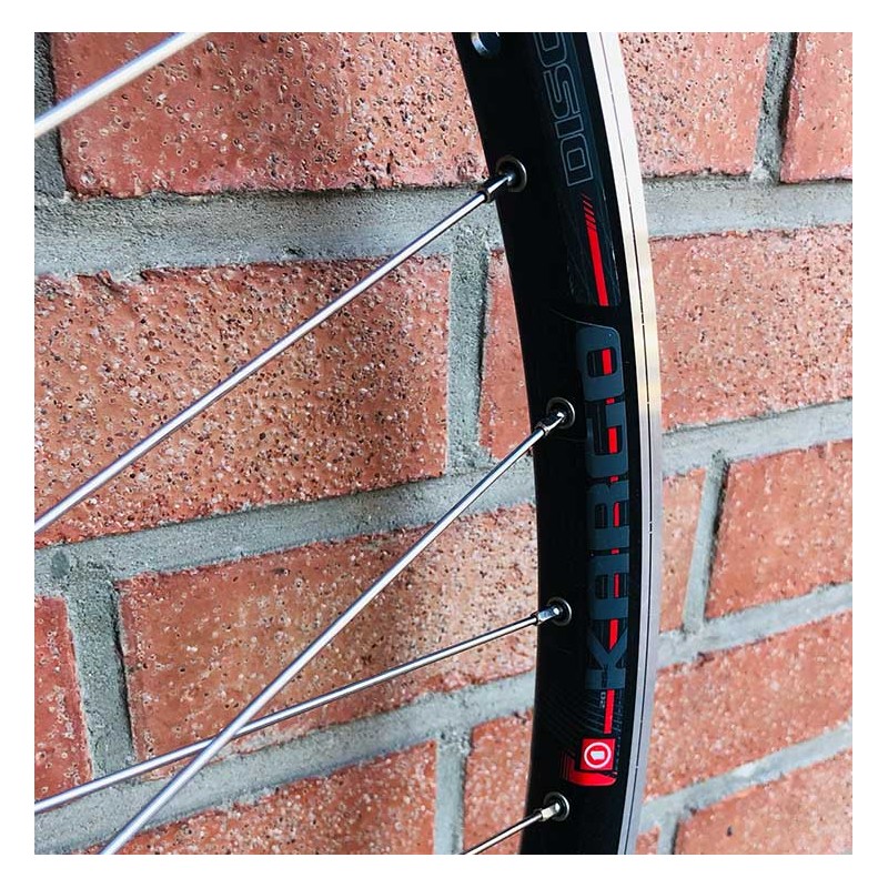 Roue Arrière Custom SeBike 29 pouces 10v - Wheeling Bike