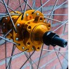 Roue Arrière Custom SeBike 29 pouces 10v - Wheeling Bike