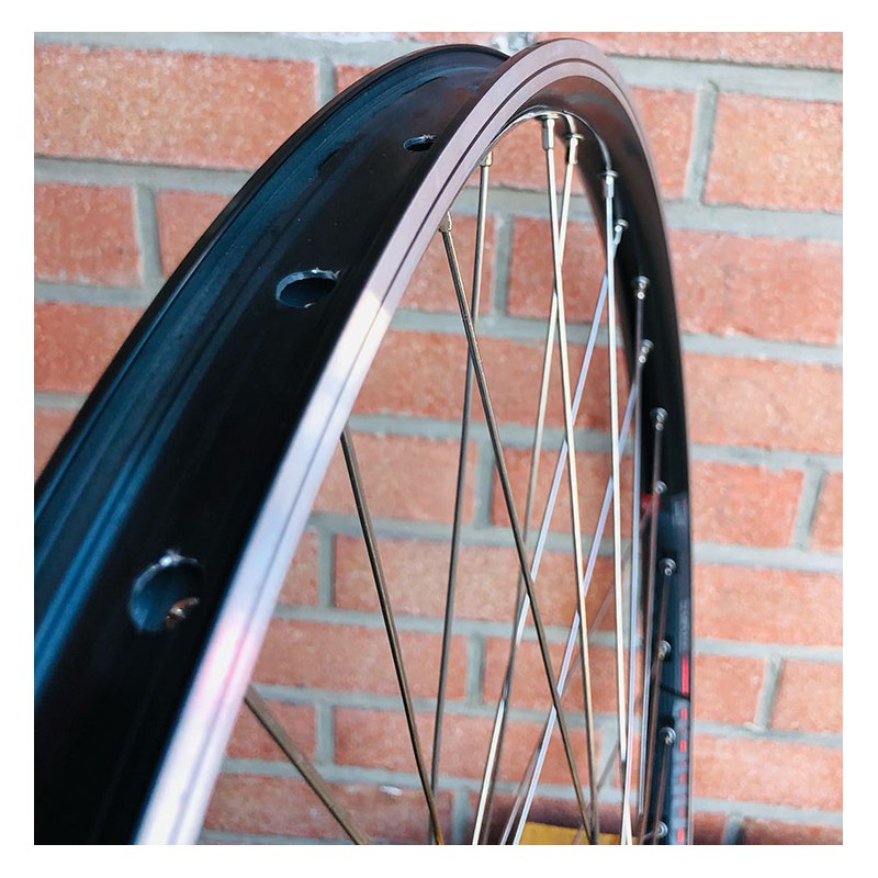 Roue Arrière Custom SeBike 29 pouces 10v - Wheeling Bike