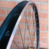 Roue Arrière Custom SeBike 29 pouces 10v - Wheeling Bike