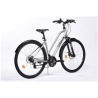 Vélo de ville EXS Fit 250 D
