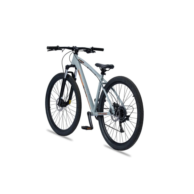 Collective Bikes C100 v3 Asphalt grey 2023