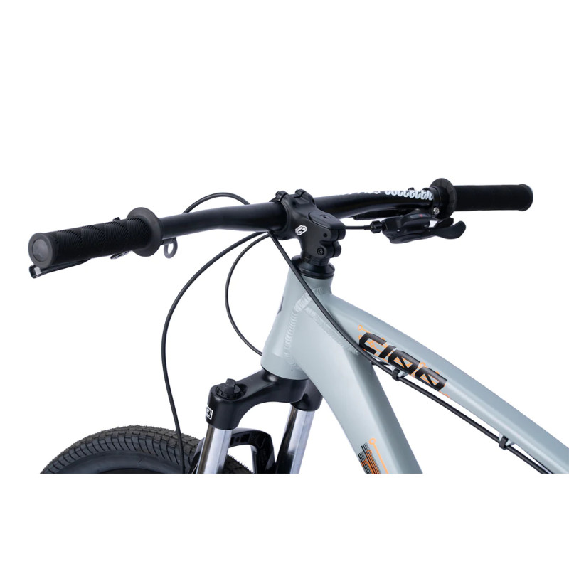 Collective Bikes C100 v3 Asphalt grey 2023