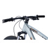 Collective Bikes C100 v3 Asphalt grey 2023