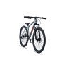 Collective Bikes C100 v3 Asphalt grey 2023