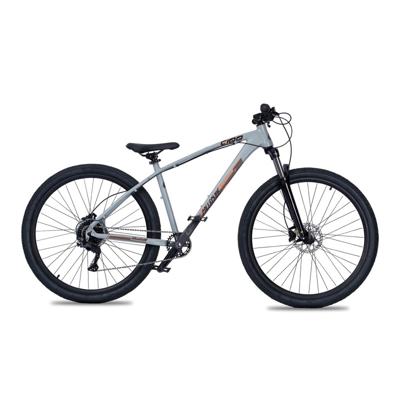 Collective Bikes C100 v3 Asphalt grey 2023