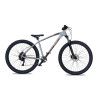 Collective Bikes C100 v3 Asphalt grey 2023