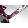 BMX complet HARO slo-ride