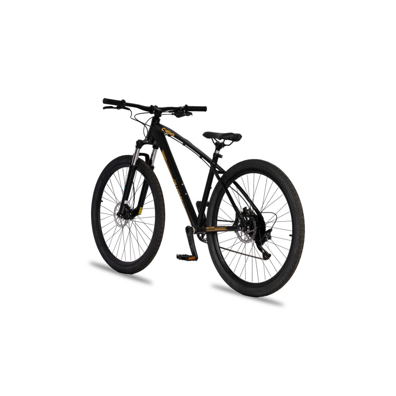 Collective Bikes C100 v3 24k 2023 - édition limitée