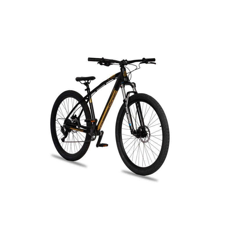 Collective Bikes C100 v3 24k 2023 - édition limitée