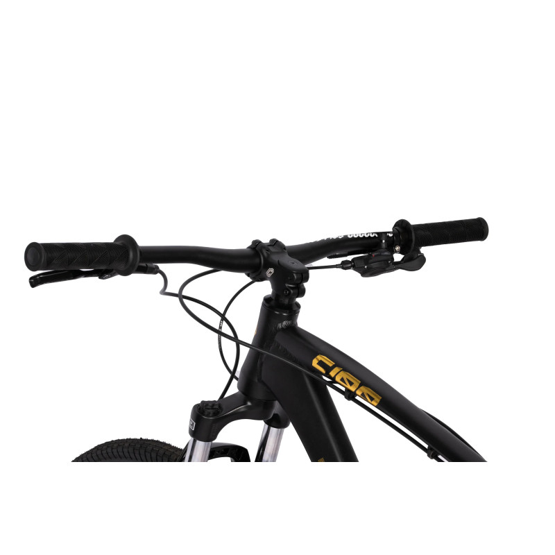 Collective Bikes C100 v3 24k 2023 - édition limitée
