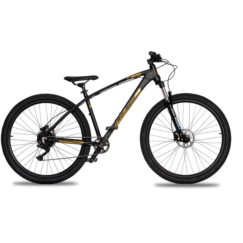 Collective Bikes C100 v3 24k 2023 - édition limitée