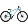 Collective Bikes C100 v3 calypso 2023