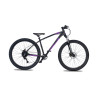 Collective Bikes C100 v3 obsidian purple 2024