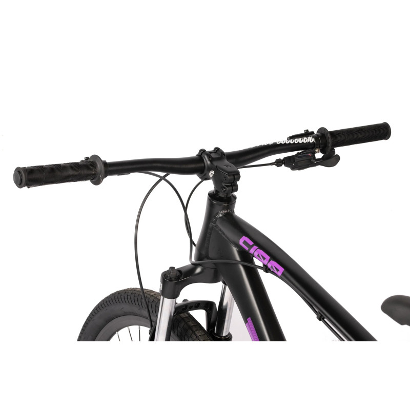 Collective Bikes C100 v3 obsidian purple 2024