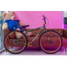 HARO x JETLIFE x CEEK 29 pouce ed. limitée vert métallique - Wheeling bike