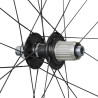 Roue Arrière SHIMANO GRX Carbone RX880 - Tubeless - Center Lock