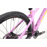 VTT HARO Saguaro 3