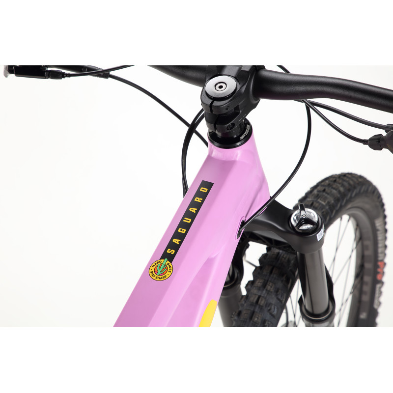VTT HARO Saguaro 3