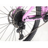 VTT HARO Saguaro 3