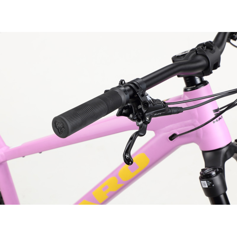 VTT HARO Saguaro 3