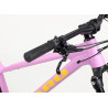 VTT HARO Saguaro 3