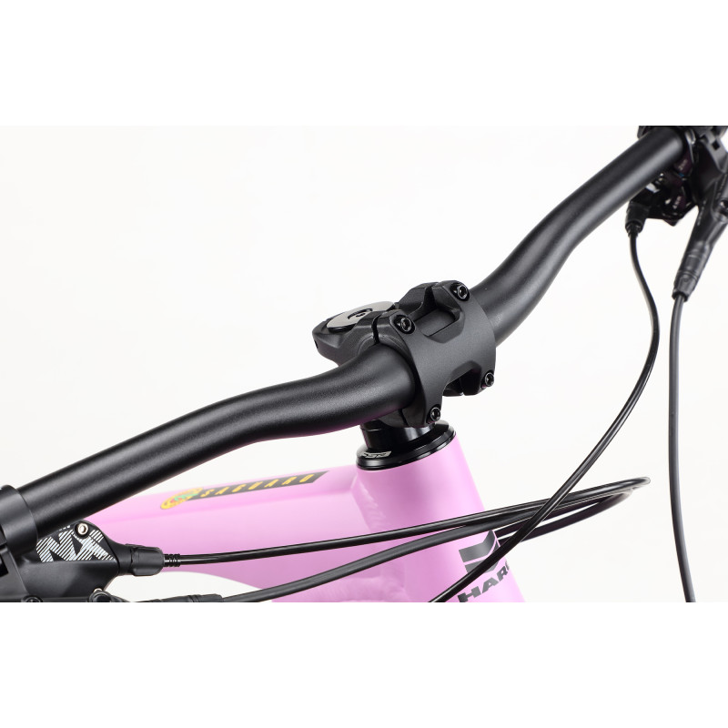 VTT HARO Saguaro 3
