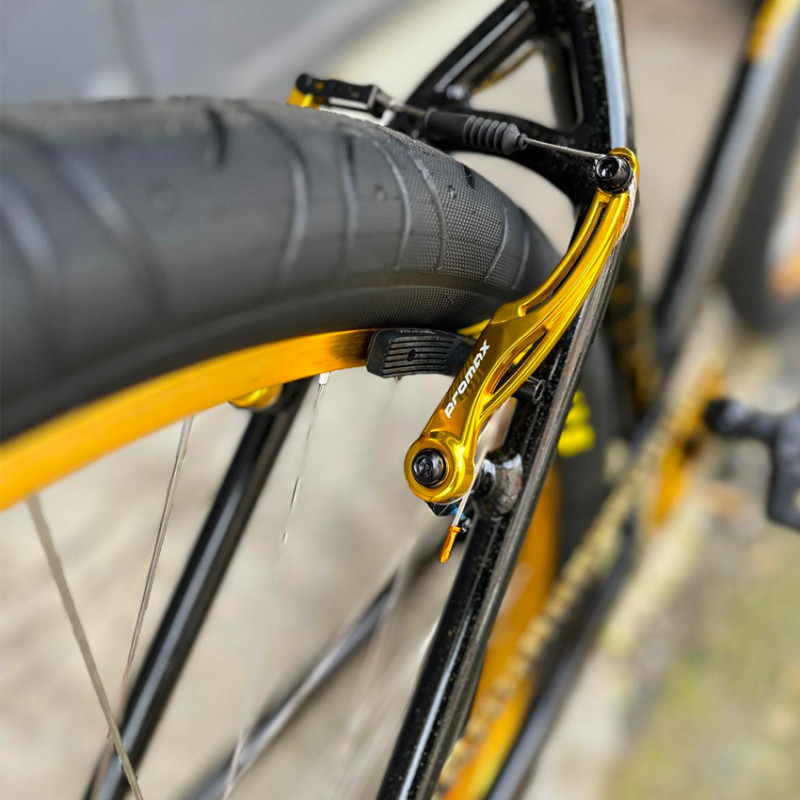 Custom HARO b.m.f x BIKELIFE - 29 pouces