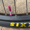 Custom SUNN Life 27.5' x BIKELIFE violet