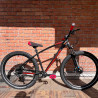 Custom COLLECTIVE x BIKELIFE C100 insidious red