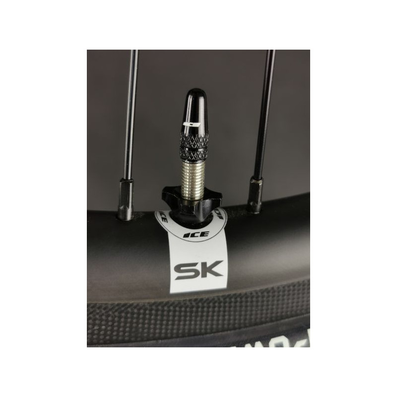 Paire de valves tubeless/presta ICE FAST airflow noirs