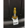 Paire de valves tubeless/presta ICE FAST airflow or