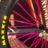 Custom Se Bikes BIG Flyer 29' Striped x Bikelife rose