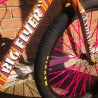 Custom Se Bikes BIG Flyer 29' Striped x Bikelife rose