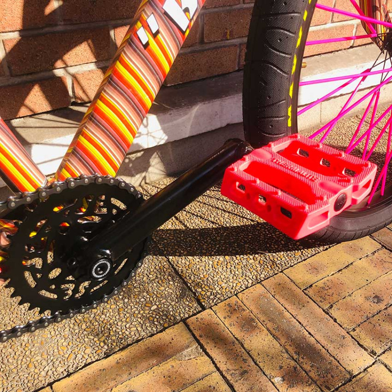 Custom Se Bikes BIG Flyer 29' Striped x Bikelife rose