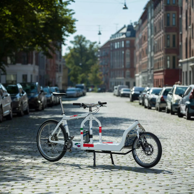 Forfait Révision vélo CARGO: freins, rayons, lubrification, serrages, gonflage, regl. transmission et jeux