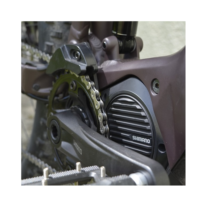 Forfait Révision VAE: freins, rayons, lubrification, serrages, gonflage, regl. transmission et jeux