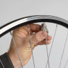 Dévoillage - Roue Classique (léger voile)